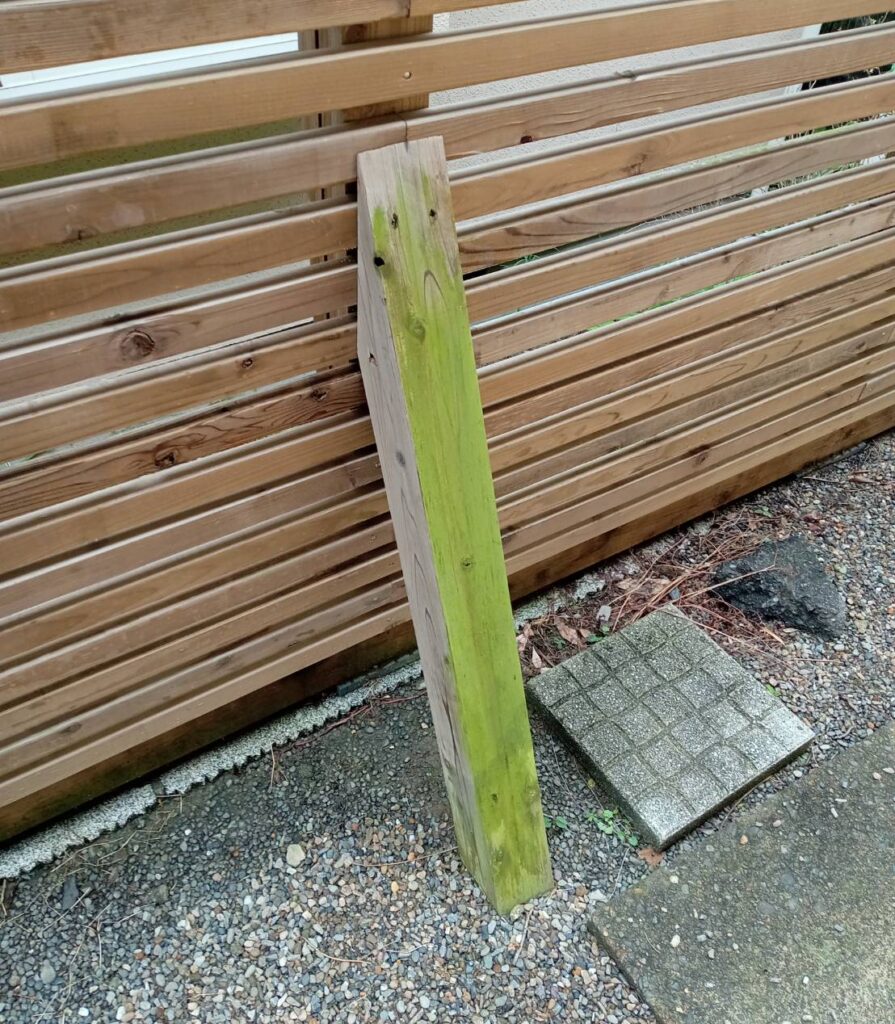 ウッドフェンスの控え柱に緑色の藻がついている